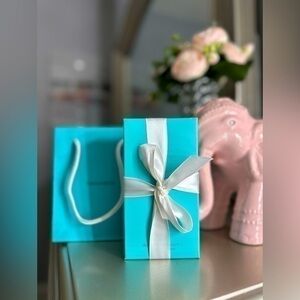 Tiffany & Co. Polishing Cloth